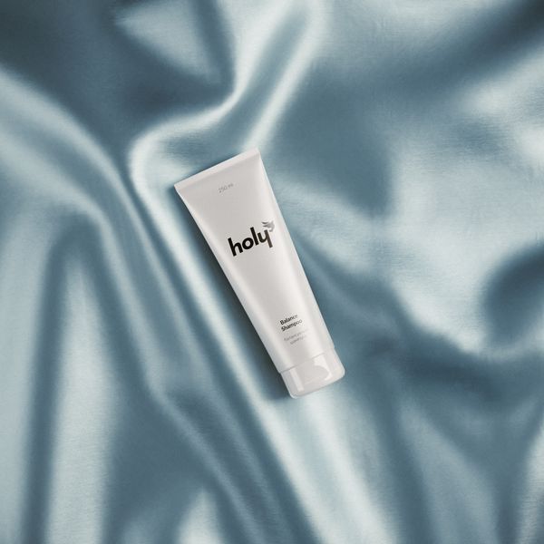 Шелковый кондиционер - holy silk conditioner 250 мл HL06 фото